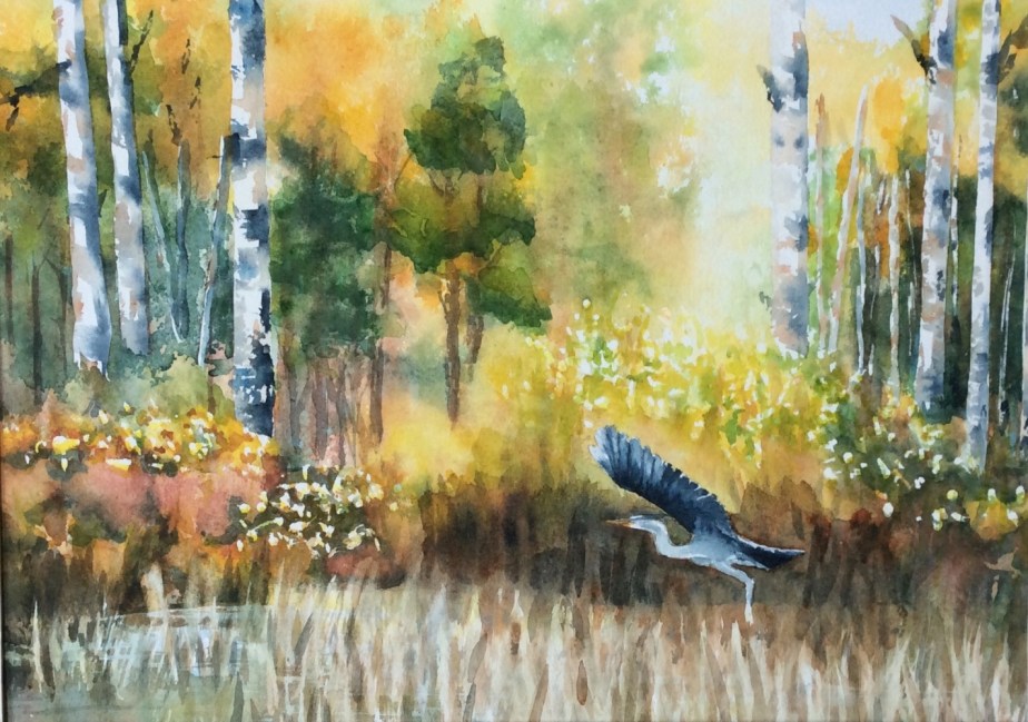 29FDC42E-3D29-4B91-BEC5-38B075CA7FEB